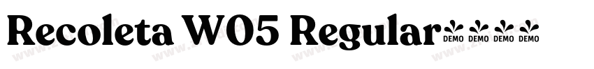 Recoleta W05 Regular字体转换